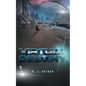 Virtual Destiny - Paperback
