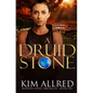 A Druid Stone: A Time Travel Romance Adventure - Paperback