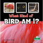 What Kind of Bird Am I? - Library Binding