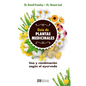 Guia de Plantas Medicinales - Paperback