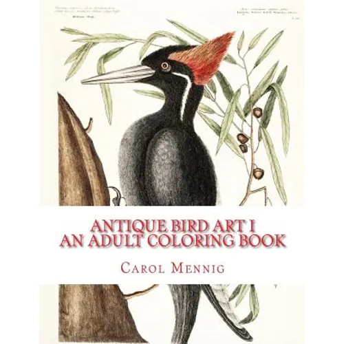 Antique Bird Art I: An Adult Coloring Book - Paperback