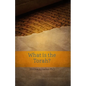 What is the Torah? - Paperback