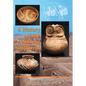 History of the Ancient Southwest - Paperback