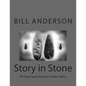 Story in Stone - Paperback