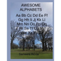 Awesome Alphabets - Paperback
