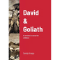David & Goliath: A version in verse for children - Paperback