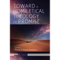 Toward a Homiletical Theology of Promise - Hardcover
