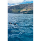 Cruises... in a different way! Compact Travel Guide Canary Islands 2019/2020: Teneriffa, Fuerteventura, Gran Canaria, Lanzarote, La Palma, La Gomera - Paperback