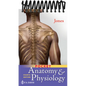 Pocket Anatomy & Physiology - Spiral