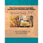 The Elementary School Guidance Counselor's Bible: Group Guidance Lesson Plans - Grades 1-5 - Paperback