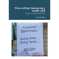 This Is What Democracy Looks Like: Essays on American Politics - Paperback