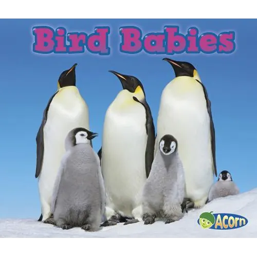 Bird Babies - Paperback