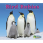 Bird Babies - Paperback
