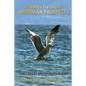 Perspectives on Armenian Prospects: Challenges and Opportunities - Paperback