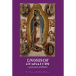 Gnosis of Guadalupe: A Mystical Path of the Mother - Paperback