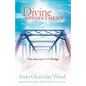 Divine Appointment - Paperback