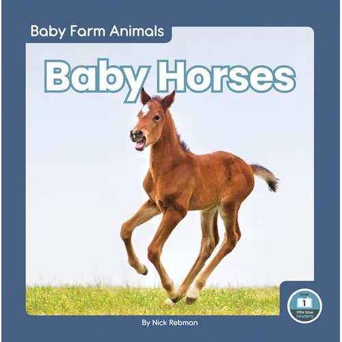 Baby Horses - Library Binding