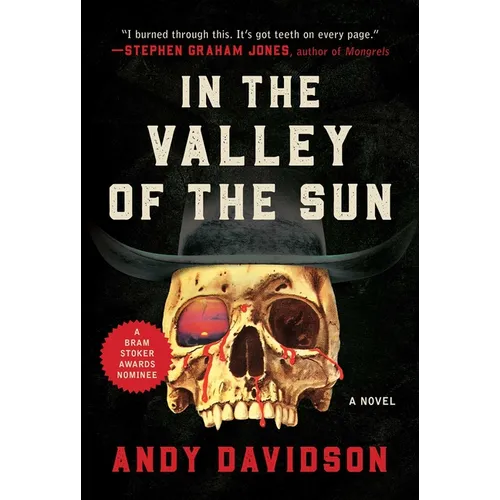 In the Valley of the Sun - Paperback
