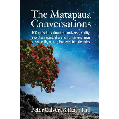 The Matapaua Conversations: 100 questions about the universe, reality, evolution, spirituality and human existence answered by non-embodied spiritual - Paperback
