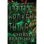 Little Broken Things - Paperback