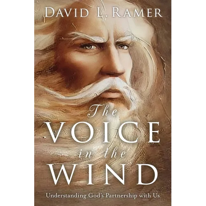 The Voice in the Wind, Understanding God's Partnership with Us - Paperback