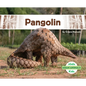 Pangolin - Library Binding