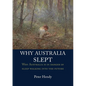 Why Australia Slept: Why Australia is in danger of sleepwalking into the future - Paperback