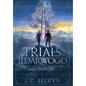 The Trials of Ildarwood: Cinders in the Snow - Hardcover