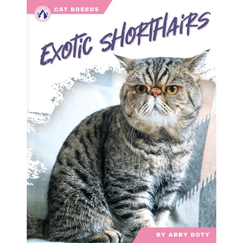 Exotic Shorthairs - Paperback