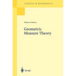 Geometric Measure Theory - Paperback