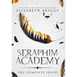 Seraphim Academy: The Complete Series - Hardcover