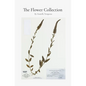 The Flower Collection - Paperback