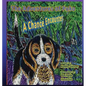 The Adventures of Poko - A Chance Encounter - Paperback