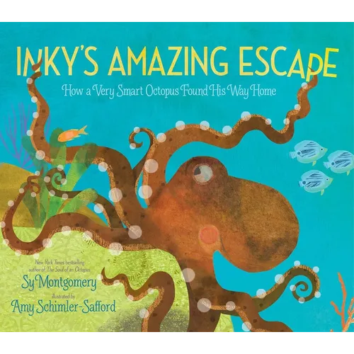 Inky's Amazing Escape: How a Very Smart Octopus Found His Way Home - Paperback