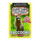 Everything You Should Know About: Raccoons Faster Learning Facts - Paperback