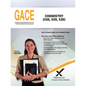 Gace Chemistry 028, 029, 528 - Paperback