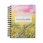 A Beautiful Year in the Bible: The 52-Week Bible Study for Women (Sb) - Spiral