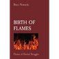 Birth of Flames: Flames of Eternal Struggles - Paperback