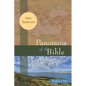 Panorama of the Bible: New Testament - Paperback