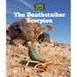 The Deathstalker Scorpion - Library Binding
