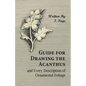 Guide for Drawing the Acanthus, and Every Description of Ornamental Foliage - Paperback