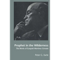 Prophet in the Wilderness: The Works of Ezequiel Martínez Estrada - Paperback