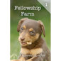 Fellowship Farm 1: Books 1-3 - Paperback