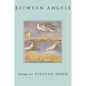 Between Angels - Paperback