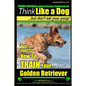 Golden Retriever, Golden Retriever Training AAA AKC Think Like a Dog, but don': Here's EXACTLY How to TRAIN Your Golden Retriever - Paperback