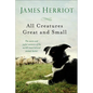 All Creatures Great and Small - Hardcover