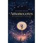 Amaneceres: He conocido a alguien - Paperback