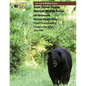 Great Dismal Swamp National Wildlife Refuge and Nansemond National Wildlife Refuge - Paperback