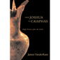 From Joshua to Caiaphas: High Priests After the Exile - Hardcover
