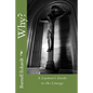 Why?: A Layman's Guide to the Liturgy - Paperback